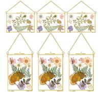 Treela 6 Pcs Pressed Flower Frames, 4 x 6 Inch, Gold, Horizontal Vertical | Double Glass Hanging Frames with Chains for Dried Flowers, Photos, Wedding Keepsakes, Gallery Walls and Vintage Artwork