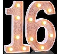 Treela 8.7'' Decorative LED Light up Numbers, Light up Number Sign for Night Birthday Party Decorations Happy Birthday LED Sign Backdrop Anniversary Wedding Party Bar Wall Decor (Rose Gold, 16th)