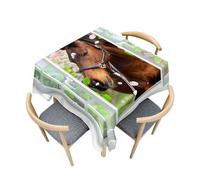 Treer Antifouling Table Cloth, Various Animal Pattern Washable Table Cloth Wipe Clean, Square Splash Proof Tablecloth, Tablecloths for Kitchen Decoration Outdoor Picnic (Horse,120x120cm)