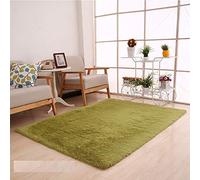 Treer Rugs for Living Room Area Large, Anti-Slip Shaggy Silky Square Carpets Super Soft Fluffy For Study Room And Bedside Bedroom Floor Game mat (Grass green,80 * 160cm)