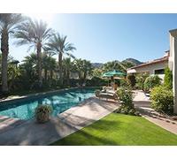 Trees and Shrubs for Challenging Conditions