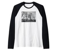 Trees at Taos Pueblo Raglan Baseball Tee