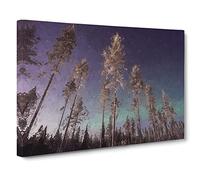 Trees Below The Northern Lights Aurora Borealis In Finland Canvas Print | Gallery Wrapped 30mm Frame Wall Art | 30x20 inches | Ready to Hang | Abstract Landscape Picture | Living Room Lounge Office