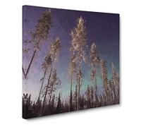 Trees Below the Northern Lights Aurora Borealis in Finland Canvas Print | Gallery Wrapped 30mm Frame Wall Art | 14x14 inches | Ready to Hang | Abstract Landscape Picture | Living Room Lounge Office