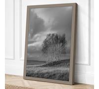 Trees Beneath Storm Canvas Wall Art Print 24x16 Inch