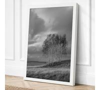Trees Beneath Storm Canvas Wall Art Print 30x20 Inch
