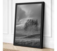 Trees Beneath Storm Canvas Wall Art Print 36x24 Inch