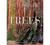Trees: Between Heaven and Earth