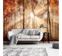 Trees Forest bedroom wallpaper large orange wall mural 312x219cm autumn time