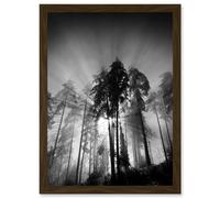 Trees Light Fog Black White Moonlit Forest A4 Artwork Framed Wall Art Print Artery8 Brown One Size