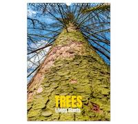 Trees, Living Giants (Wall Calendar 2026 DIN A3 portrait), CALVENDO 12 Month Wall Calendar: Rooted in Time. Reaching for the Sky