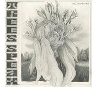 Trees Speak - Ohms (Lp+7") [VINYL]