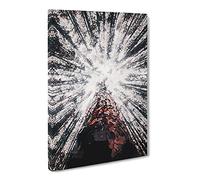 Trees Touching The Sky Canvas Print | Gallery Wrapped 30mm Frame Wall Art | 30x20 inches | Ready to Hang | Abstract Landscape Picture | Living Room Bedroom Lounge Office