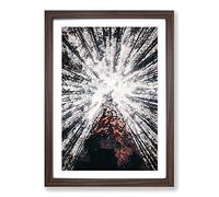 Trees Touching The Sky in Abstract Framed Print | A2 Walnut Framed Wall Art | Ready to Hang | Abstract Floral Picture | Living Room Bedroom Lounge Office