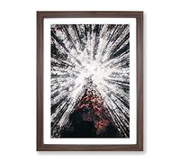 Trees Touching The Sky In Abstract Modern Framed Print | A3 Walnut Framed Wall Art | Ready to Hang | Abstract Floral Picture | Living Room Bedroom Lounge Office