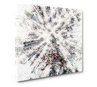 Trees Touching the Sky Watercolour Canvas Print | Gallery Wrapped 30mm Frame Wall Art | 20x20 inches | Ready to Hang | Modern Landscape Picture | Living Room Bedroom Lounge Office