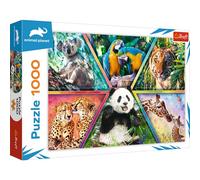 Trefl 1000 Elements, Animals of the World, Colorful Frames, Creative Entertainment, Gift, Fun, Classic Puzzle, Kingdom, Tierreich, 10672