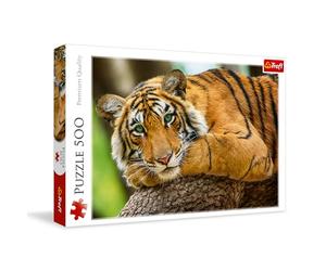 Trefl Bengal Tiger - 500 Piece Jigsaw Puzzles for Adults & Children Aged 10+ - Safari Jungle Wildlife Animals Puzzle