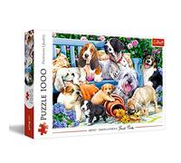 Dogs in the Garden