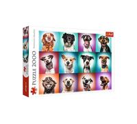 Trefl Funny Dog Portraits Puzzle Adults & Kids - 2000 Pieces