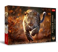 Photo Odyssey: Wild Leopard