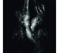 Treha Sektori - Sorieh