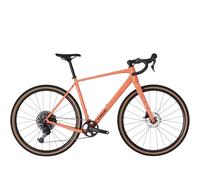 TREK Checkpoint ALR 4 Gravel Bike in Living Coral XL
