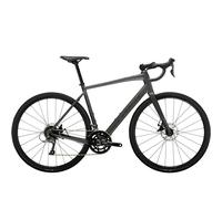 TREK Domane AL 2 Gen 4 Road Bike in Lithium Grey L