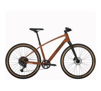 Trek Dual Sport 3 Hybrid Bike 2024 Pennyflake