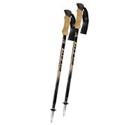 Trekking poles Fizan Compact 1947 Noir TU
