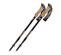 Trekking poles Fizan Compact 4 Tech Beige TU
