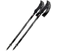 Trekking poles Fizan Compact Noir TU