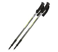 Trekking poles Fizan Trek Pro Gris TU