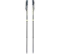 Trekking poles Viking Stig Noir TU