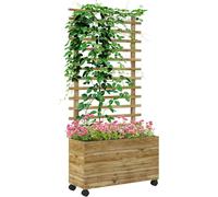 Trellis Planter Bed Garden Wooden Raised Box for Climbing Plants Flowers Outdoor