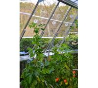 Palram - Canopia Trellising Kit White