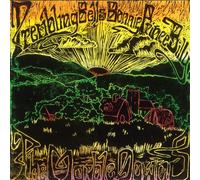 TREMBLING BELLS - MARBLE DOWNS,THE [VINYL]