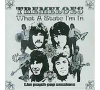 Tremeloes - What A State I'm In