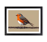 Tremendous Robin Bird H1022 Framed Print for Living Room Bedroom Home Office Décor, Wall Art Picture Ready to Hang, Black A2 Frame (64 x 46 cm)