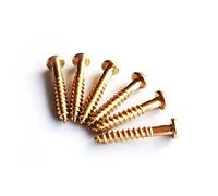Tremolo Mounting Screws x6 - Gold | Guitar Anatomy