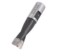 Trend Domino Bit, 10 mm Diameter, Slotting tool for Festool Domino DF500 Dowel Mortising System, Tungsten Carbide Tipped, DOM/10