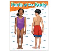 TREND enterprises, Inc. Parts of The Body Learning Chart, 17" x 22"