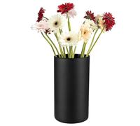 Trend For Home Glass Floor Vase 29 cm, Matt Black, Vase for Pampas Grass, Easter Branches, Large Cylinder Vase, Diameter 15.8 cm, 5120 ml, Modern Decorative Vase, Glass Cylinder Magnolia