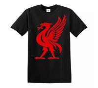 Trend Gear Liver Bird Sports Liverpudlian Men's T-Shirt Logo Gift Present Top Tee(Black, 4XL)