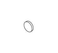 Trend Plastic Cap For Ball End Stud Pk 1 WP-LOCK/08A