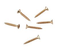 Trend Replacement Screws for the Flexible Curve Guide, 2.5mm x 16mm, Pack of 50 Screws, CURV/8/SP