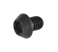 Trend Rt/3.5 Torx Replacement Screws