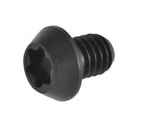 TREND Rt 3.5 Torx Replacement Screws Trend Multicolor