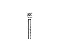Trend WP-T10/112 Screw self Tapping pan 4mm x 32mm Phillips-WP-T10/112, Silver