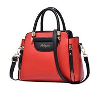 trendbris Women's Trendy Korean Casual One Shoulder Large Capacity Handbag Guitar Purse Straps for Handbags (C, One Size)